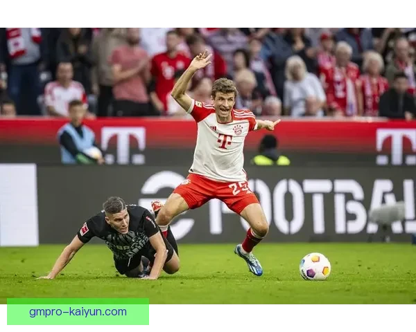 维尔茨技术全面性持续提升，受关注度不断攀升