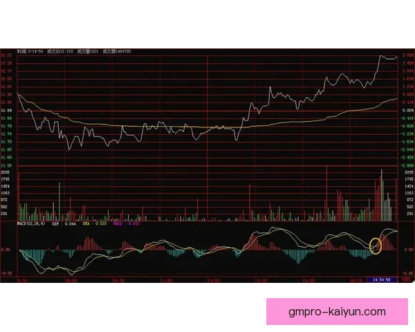 雷恩战术调整后攻防表现稳健，近期战绩走势清晰